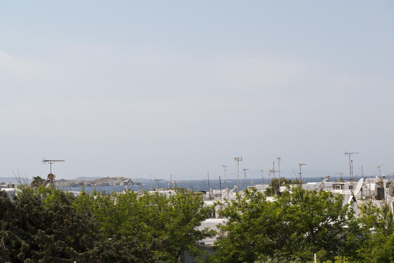 Ξενοδοχείο Καρμπόνη Mykonos Town Εξωτερικό φωτογραφία